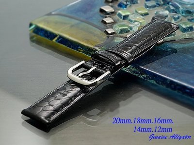 【時間探索】進口純正鱷魚皮高級錶帶短款亮黑色 ( .20mm.18mm.16mm.14mm.12mm)