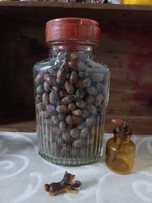 早期老玻璃瓶餅干罐糖果瓶/懷舊復古風格擺飾（1074）
