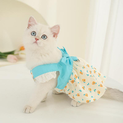 貓咪衣服夏天可愛公主風小裙子布偶貓小貓幼貓可牽引寵物背心