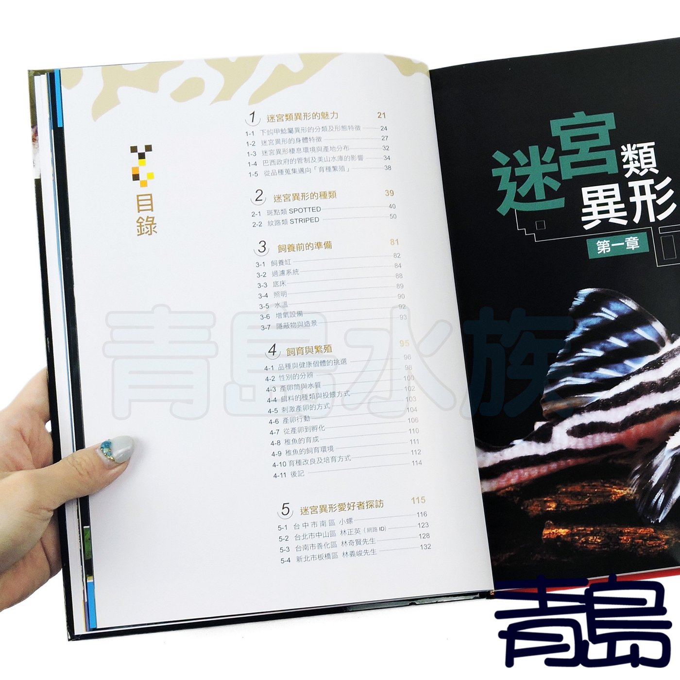 Ab 青島水族 A工具書 小型迷宮異形的世界異型書籍魚雜誌 Yahoo奇摩拍賣