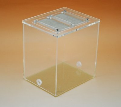 【新奇屋】昆蟲觀察飼養盒 螞蟻連結活動區餵食盒 螞蟻石膏巢盒 微生態觀察(8.3*10.2*11.1cmcm)