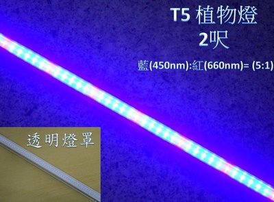 [嬌光照明]LED 植物燈 水族燈 LED日光燈管 T5 2呎 藍(450m):紅(660nm)=5:1