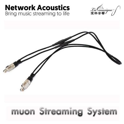 (愛樂音響台中店) 英國 Network Acoustics muon Streaming cable 英國製