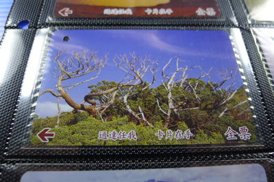 【YUAN】早期台北市公車票卡 編號A0155-1/2 枯木逢春 向陽山
