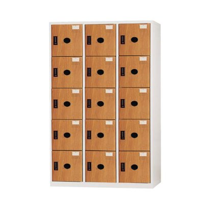 【DS4-22】十五人置物櫃(塑鋼門)(木紋) DF-E5015FF