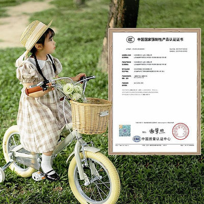 Kazam童車3-6歲-12歲女孩男孩單車輔助輪韓國兒童自行車兒童自行車 腳踏車 山地車 兒童單車