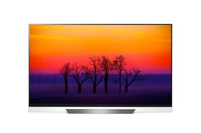 [東家電器][請議價] LG樂金 65型OLED電視 OLED65E8PWA