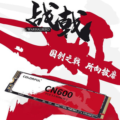 七彩虹CN600/CN700 m2固態硬碟1t/2t/4t桌機筆電電腦PS5硬碟