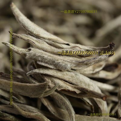 一品茶莊 特賣普洱茶生茶 2021年白毫大白毫單芽 月光白茶（小芽）散茶
