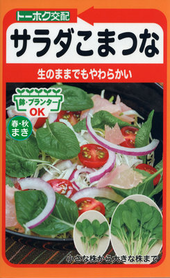 【蔬菜種子S166】沙拉小松菜~~生食柔軟可口，最適合生菜沙拉的小松菜品種