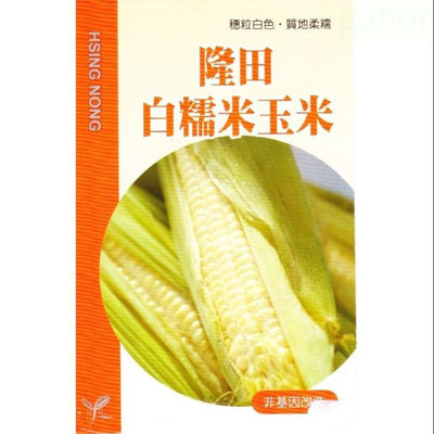 種子王國 隆田白糯米玉米  大包裝種子【蔬果種子】興農牌 每包約1磅