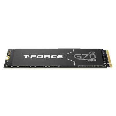 ~協明~ TEAM T-FORCE G70 Pro 1TB 2TB Gen4*4 M.2 SSD R7400/W5500