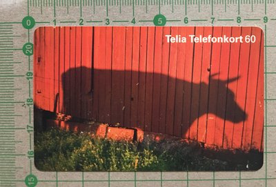 【卡庫】【動物】瑞典1999年，牛的影子  KSE6107