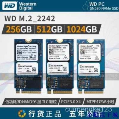 溜溜雜貨檔【優選】 全新行貨SN530 M.2 NVME 2242  256G/512G/1T固態硬碟SSD