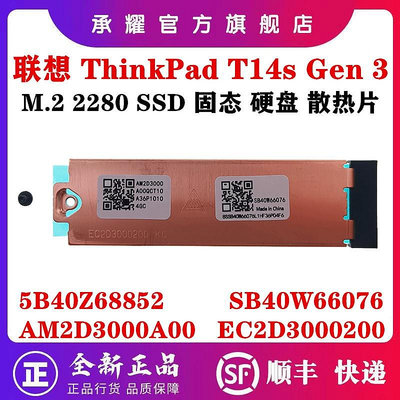 LENOVO聯想 THINKPAD T14S GEN 3 (21BR 21BS)筆電M2 SSD固態硬碟散熱片散熱器支