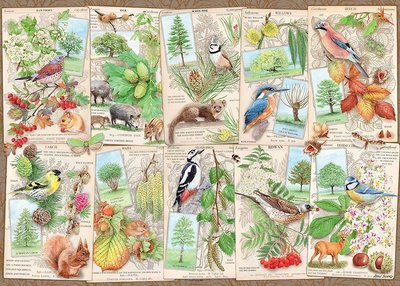 『預購』全新正品 德國 Ravensburger 拼圖 Wondrous Trees 不可思議的樹 鳥 拼圖 1000片