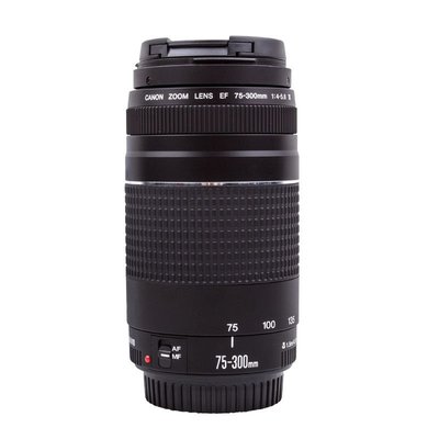 完動品】Canon EF 75-300mm F4-5.6 III USM | www.couros.com.pe