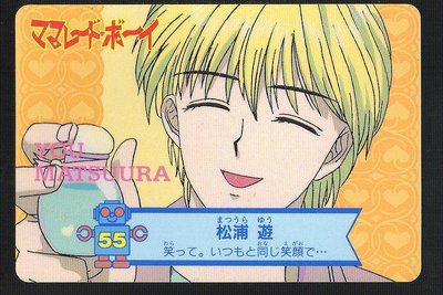 《CardTube卡族》(060930) 55 日本原裝橘子醬男孩 萬變卡∼ 1995年遊戲普卡
