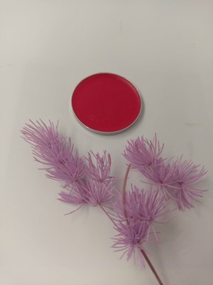 [三越Garden] 口紅 4g 3.5寸 有10色可選 美容乙級 美容丙級 檢定專用 彩妝用品