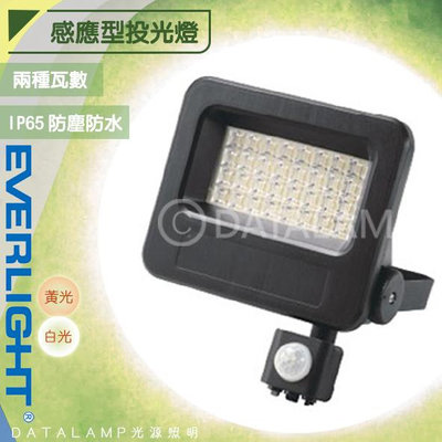 【阿倫燈具】億光EVERLIGHT LED-30W感應型投光燈 ELFAP