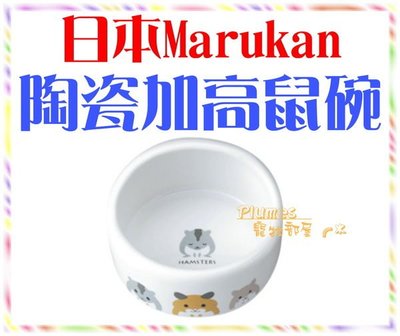【Plumes寵物部屋】日本Marukan《陶瓷加高鼠碗》小動物陶瓷碗/陶瓷圓碗/圓弧型陶瓷食盆【可超取】