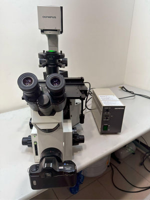 Olympus IX70 Fluorescence Phase Contrast Microscope倒置式相位差螢光顯微鏡