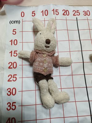 【二手衣櫃】35cm 砂糖兔 法國兔 安撫玩偶娃娃 寶寶玩偶 兒童玩具娃娃 兔子玩偶 玩偶擺飾 1120929