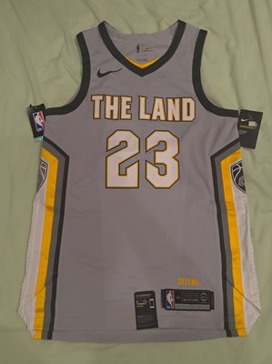 全新正品 NIKE NBA 克利夫蘭騎士 LEBRON JAMES THE LAND 城市版 球員版 球衣 44 48