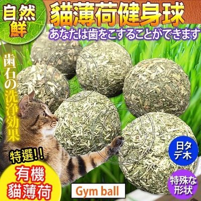 【🐱🐶培菓寵物48H出貨🐰🐹】自然鮮系列》貓薄荷健身球貓玩具NF-011 特價79元