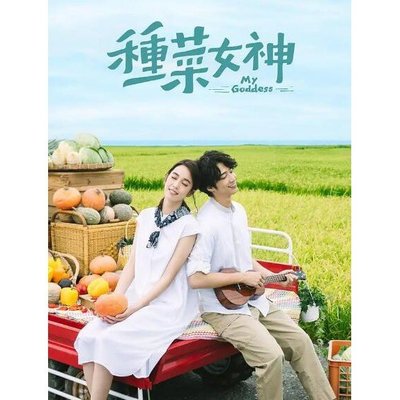 臺劇 種菜女神 DVD 劉以豪/陳庭妮【高清 盒裝】5碟