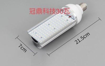 20W-80W LED路燈替換光源玉米燈 球泡燈高亮度單面發光單向出光路燈燈泡