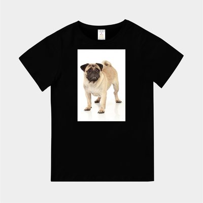 T365 MIT 親子 童裝 情侶 T恤 T-shirt 短T 狗 DOG 汪星人 Pug 巴哥 巴哥犬 毛孩 毛小孩