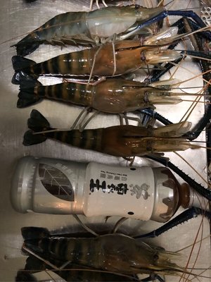 「完售」現釣 活泰國蝦 海鮮 海產  活凍 冷凍泰國蝦 公蝦 母蝦 蝦子 烤蝦
