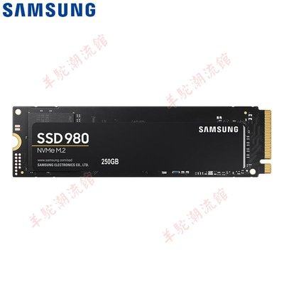 適用三星250G/500/1T SSD固態硬盤M.2接口NVMe協議980