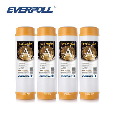 (4支入)EVERPOLL EVB-M100A標準型10英吋道爾樹脂濾芯(白殼)
