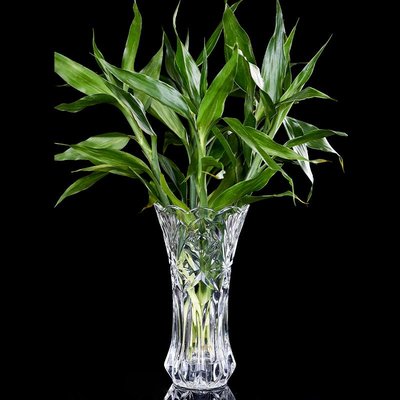 漫友擺件 簡約玻璃花瓶擺件客廳插花水培水養富貴竹鮮花餐桌大號透明花器