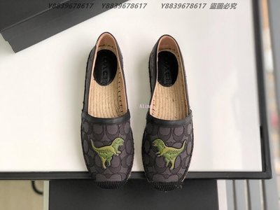 美國代購COACH 寇馳 新款俏皮可愛 恐龍帆布鞋 平底鞋 顏色2
