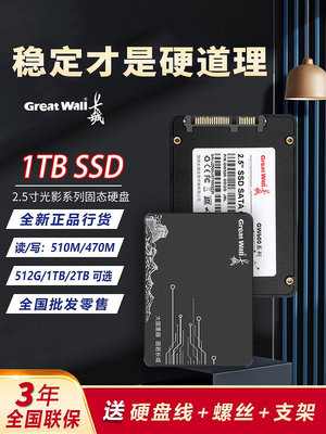 長城正品固態硬碟1TB 2TB桌機機筆記高速SSD512G全新固態硬碟批發