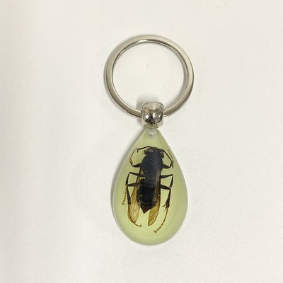 夜光琥珀昆蟲鑰匙圈~~黃蜂。材質是樹脂及真的昆蟲標本
