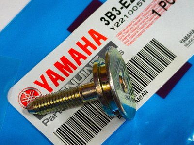 YAMAHA  山葉 原廠 BIANCO 比安可 車玩 迅光 頂級迅光 125 螺絲 螺栓 內鏈排骨 導鏈桿 排骨
