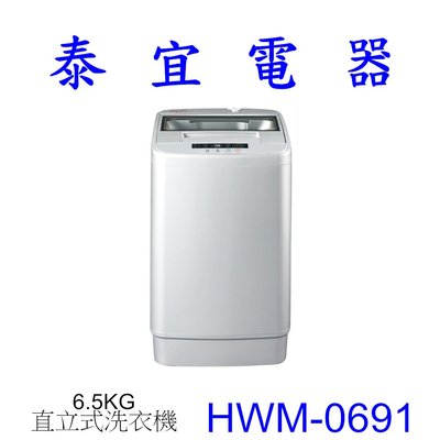 【泰宜電器】HERAN禾聯 HWM-0691 直立式洗衣機 6.5KG【另有NA-90EB】