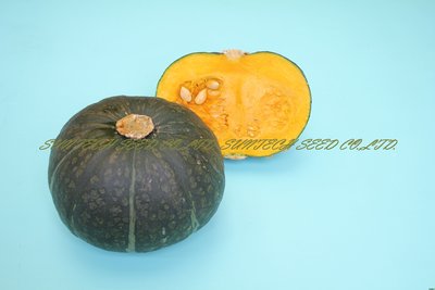 【蔬菜種子S205】黑海栗南瓜~口感極佳，Q嫩綿密如栗子的南瓜