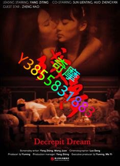 DVD 專賣店 殘夢/雙生花/Decrepit Dream