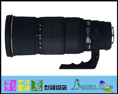 彩色鳥(租 鏡頭 相機)租 SIGMA APO 120-300mm f2.8 EX DG  5D4 R5 R6 A73