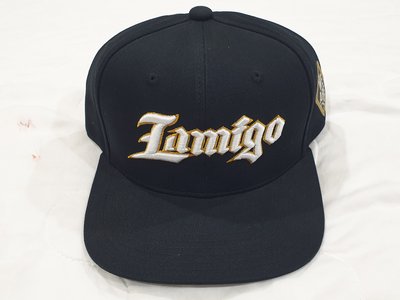 CPBL Lamigo 桃猿 中華職棒 球員版 Pro 實戰 球帽