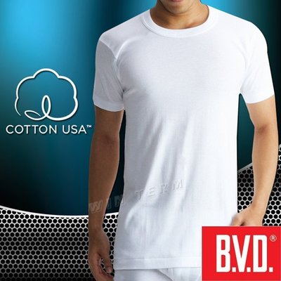 (加大尺碼)BVD 100%純棉 短袖圓領衫-XXL台灣製造