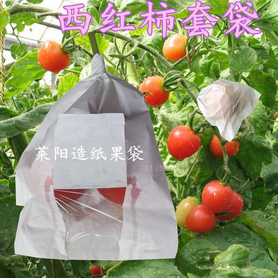 西紅柿套袋專用袋洋柿子黑金剛樹番茄紙袋美麗莎龍繽紅蔬營養袋子
