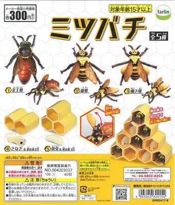 【扭蛋屋】蜜蜂模型與巢穴《全5款》