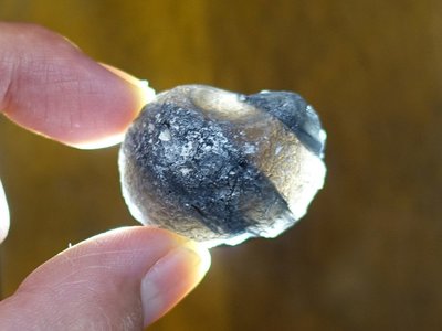 §能量礦石§ 亞利桑那隕石Saffordite Arizona天狼星隕石 重26.56g