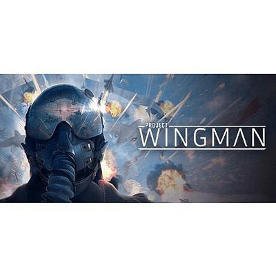 僚機計劃 Project Wingman 中文版 PC電腦單機遊戲  滿300元出貨
